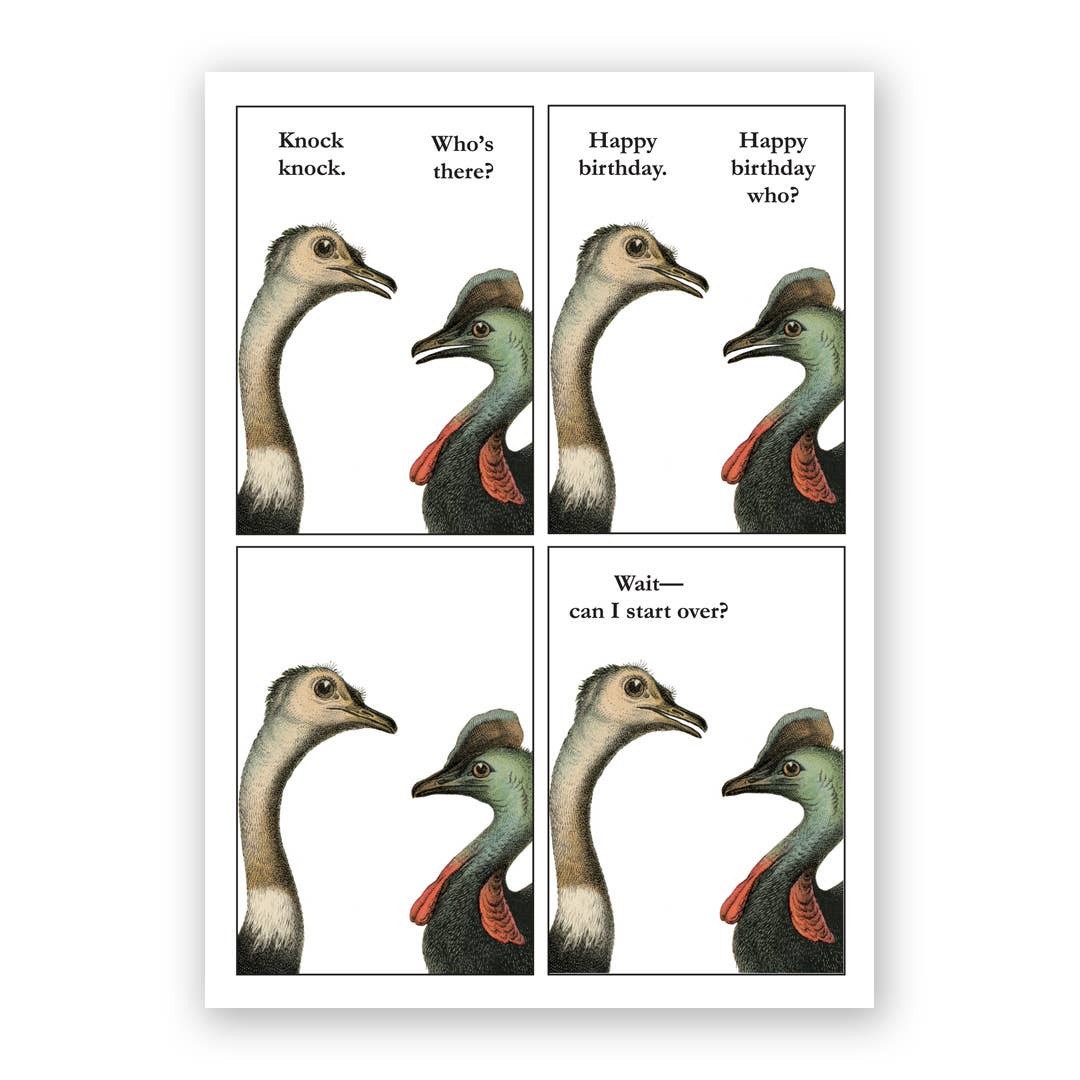 Cassowary Birthday Greeting Card