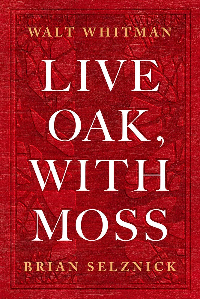 Live Oak, with Moss by Brian Selznick