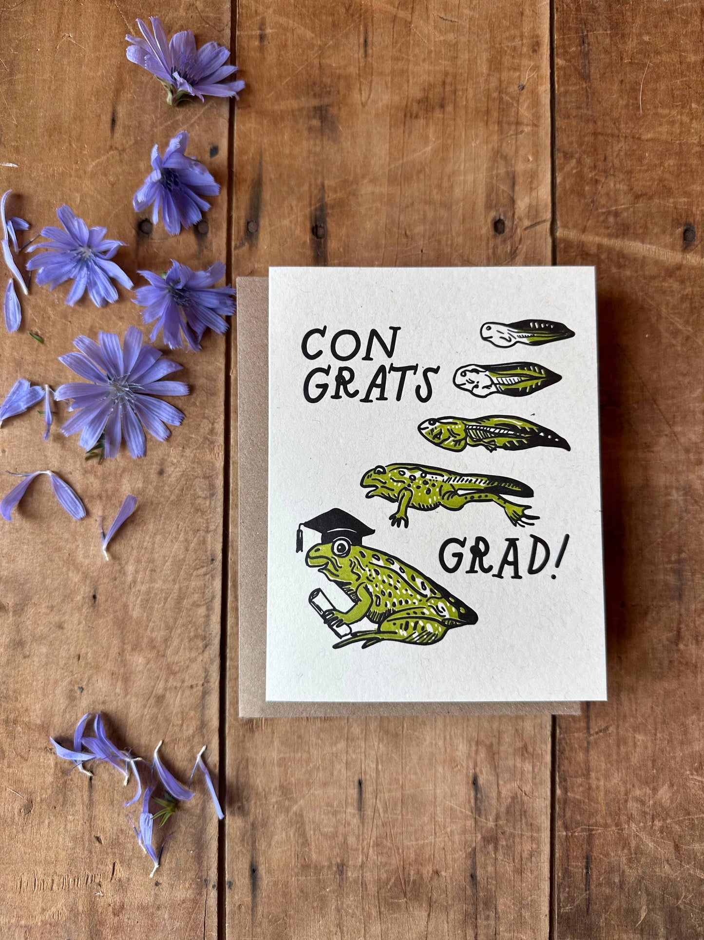 Frog Graduation Card - letterpress