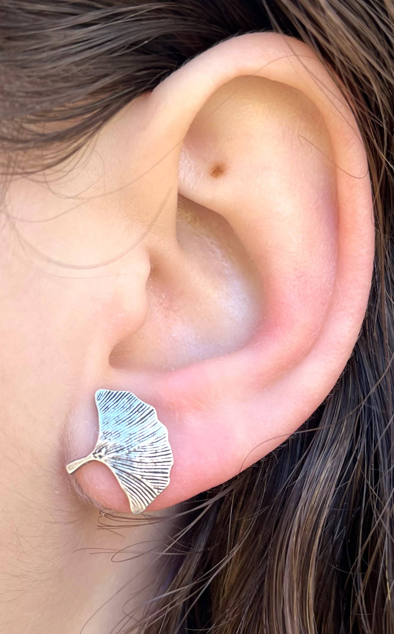 Ginkgo Leaf Stud Earrings - silver Natural History