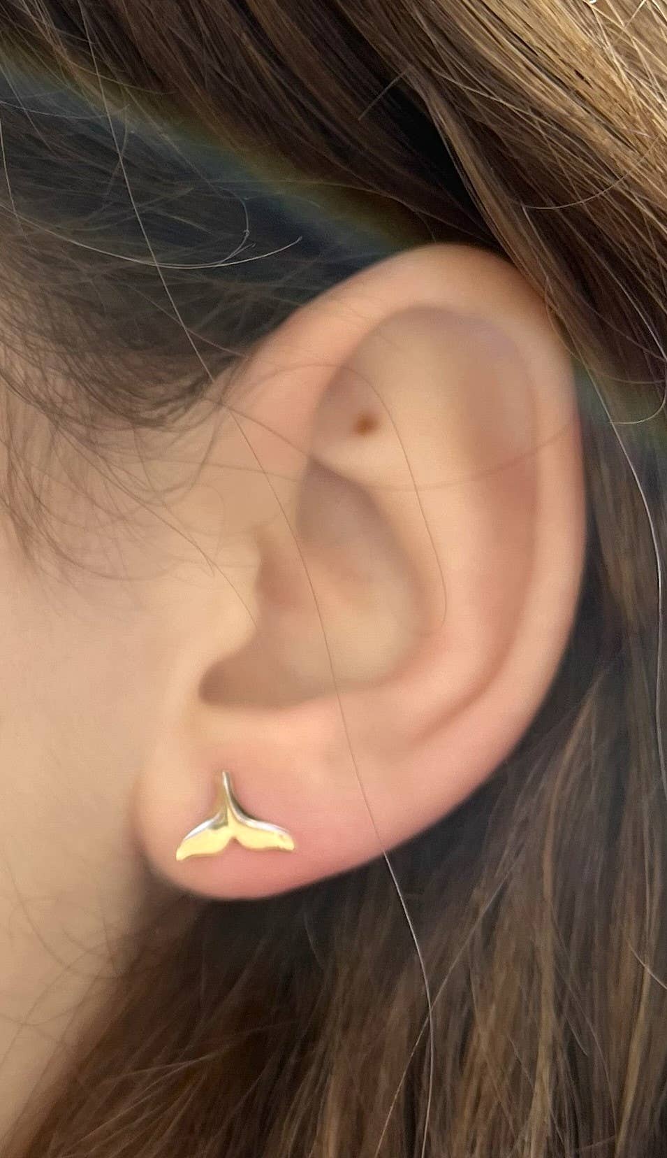 Whale Tail Studs - gold Natural History