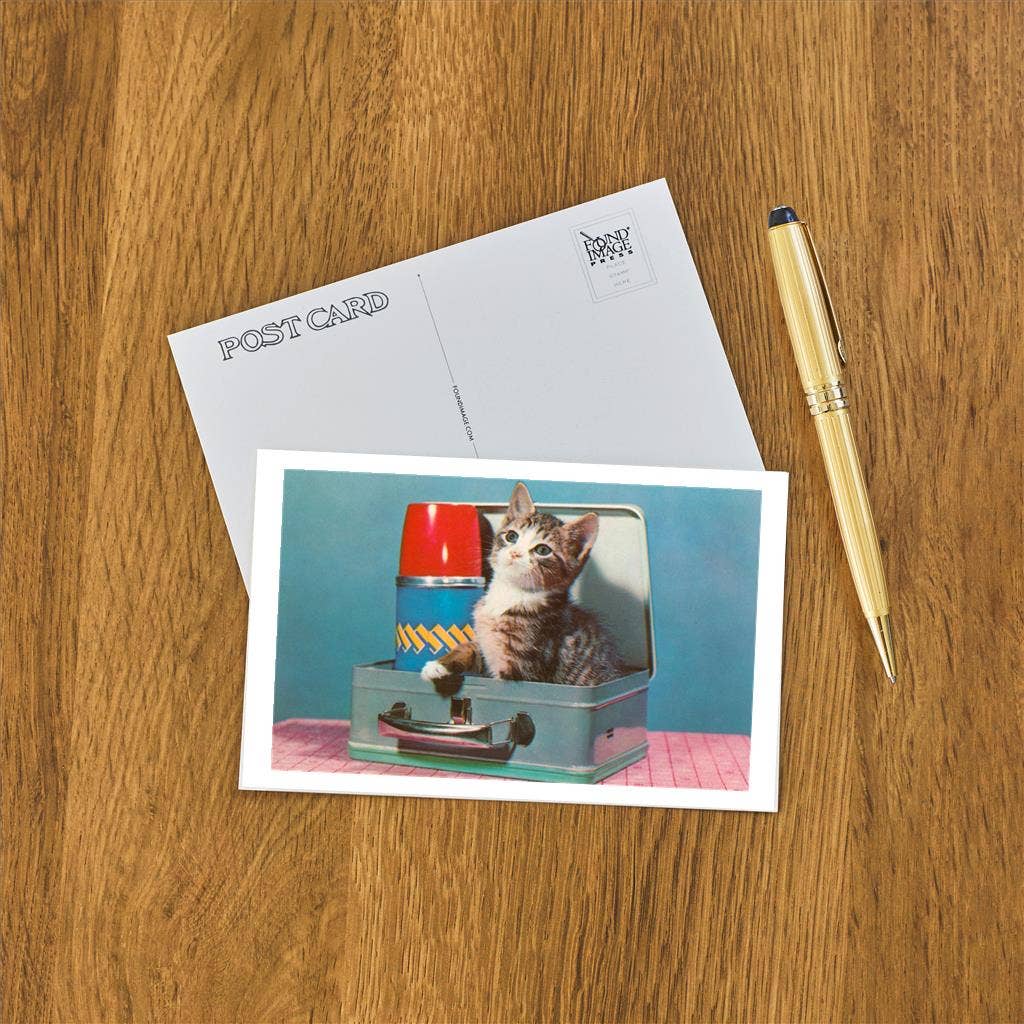 Postcard NP-181 Kitten in a Lunchbox