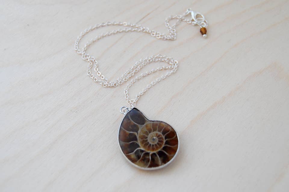 18" Ammonite Fossil Shell Necklace