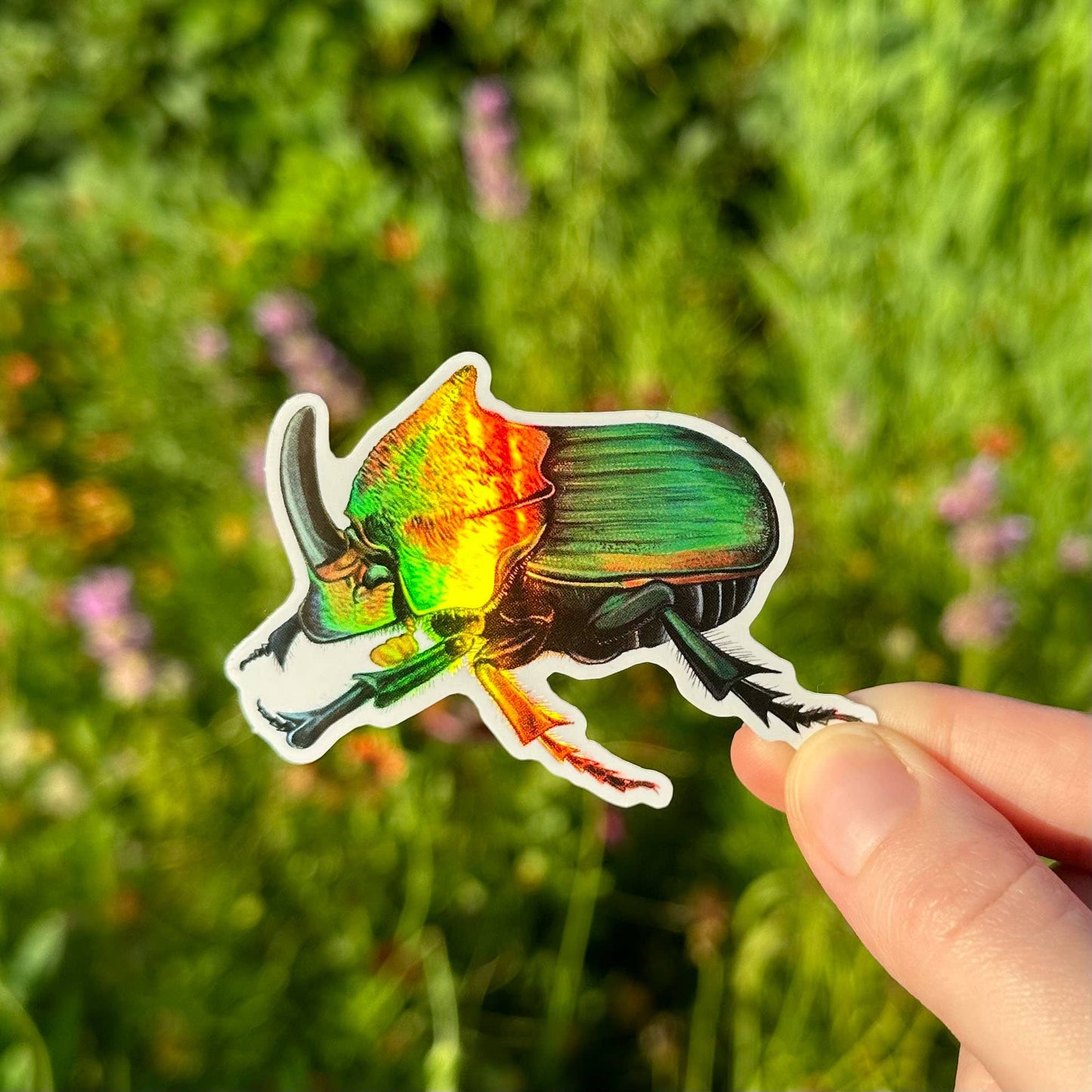 Rainbow Scarab Beetle Holographic Weatherproof Vinyl Sticker