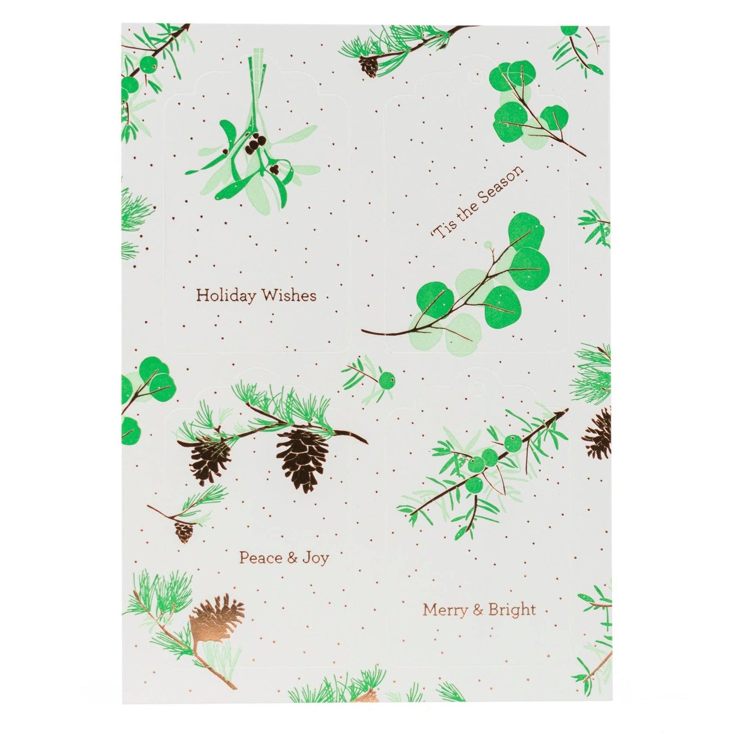 Gift Tag: Holiday Vegetation Hang Tag (Set of 8)