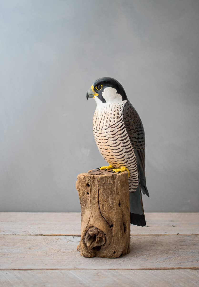 Peregrine Falcon - 12"H - Hand Carved Figurine