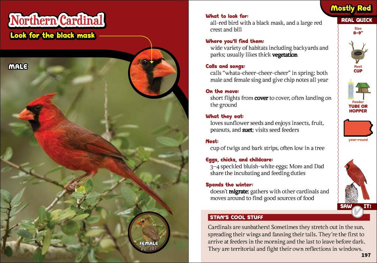 Kids' Guide to Birds of Pennsylvania