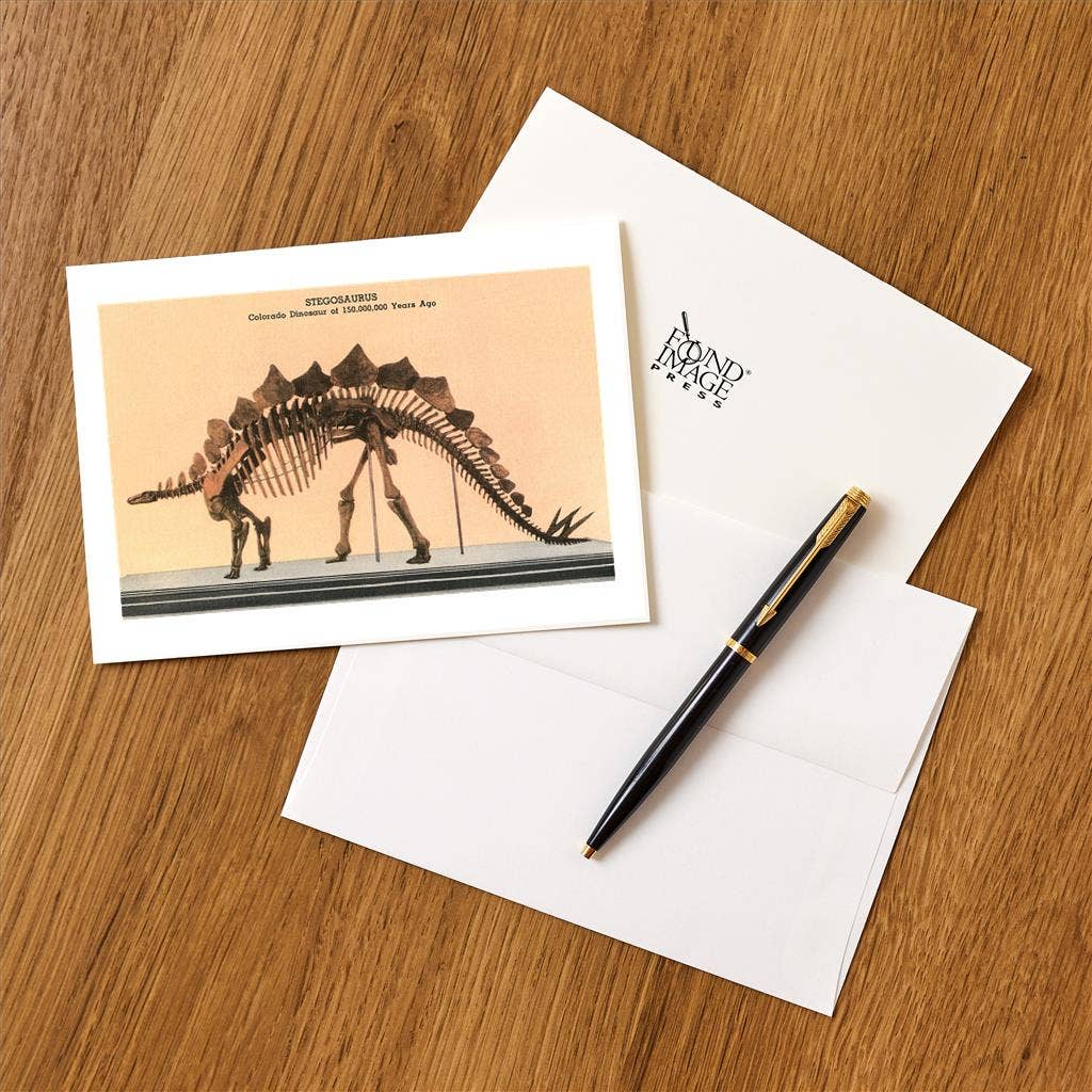 Greeting Card CO-353 Stegosaurus Skeleton