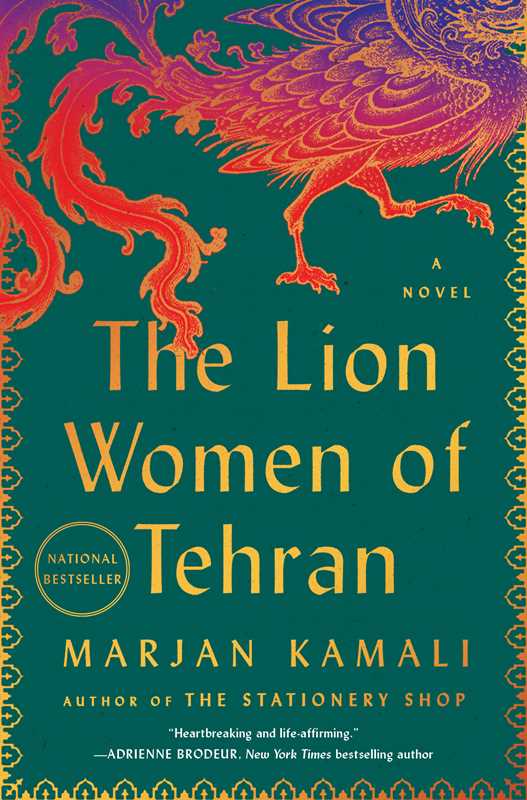 Lion Women of Tehran by Marjan Kamali
