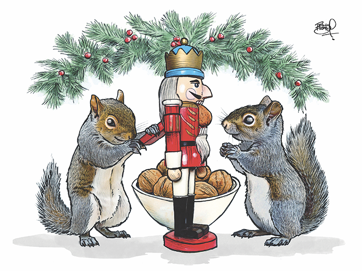 Nutcrackers #368