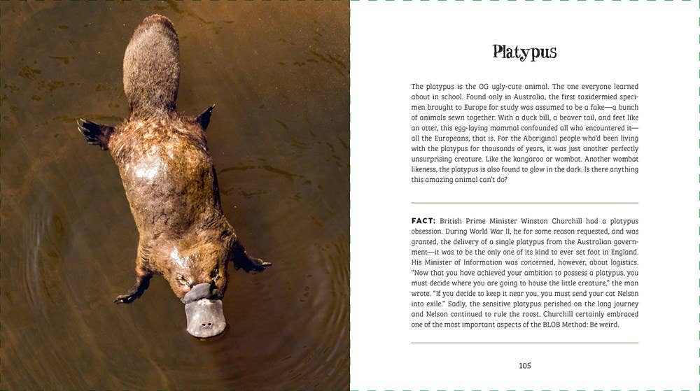 Ugly-Cute by Jennifer McCartney