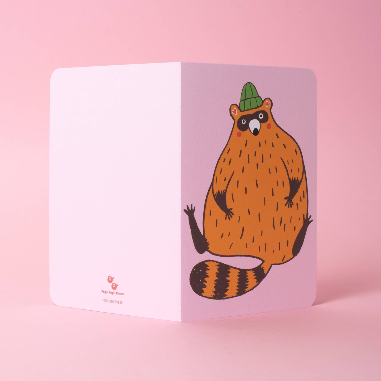 Fat Raccoon B6 Blank Notebook