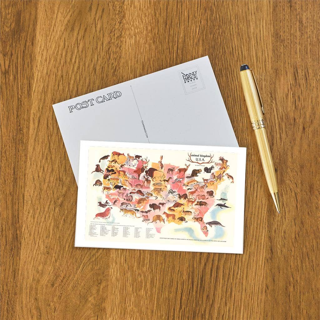 Postcard AN-300 Animal Kingdom, USA