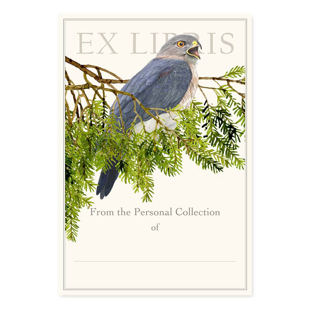 Cooper's Hawk - Bookplates