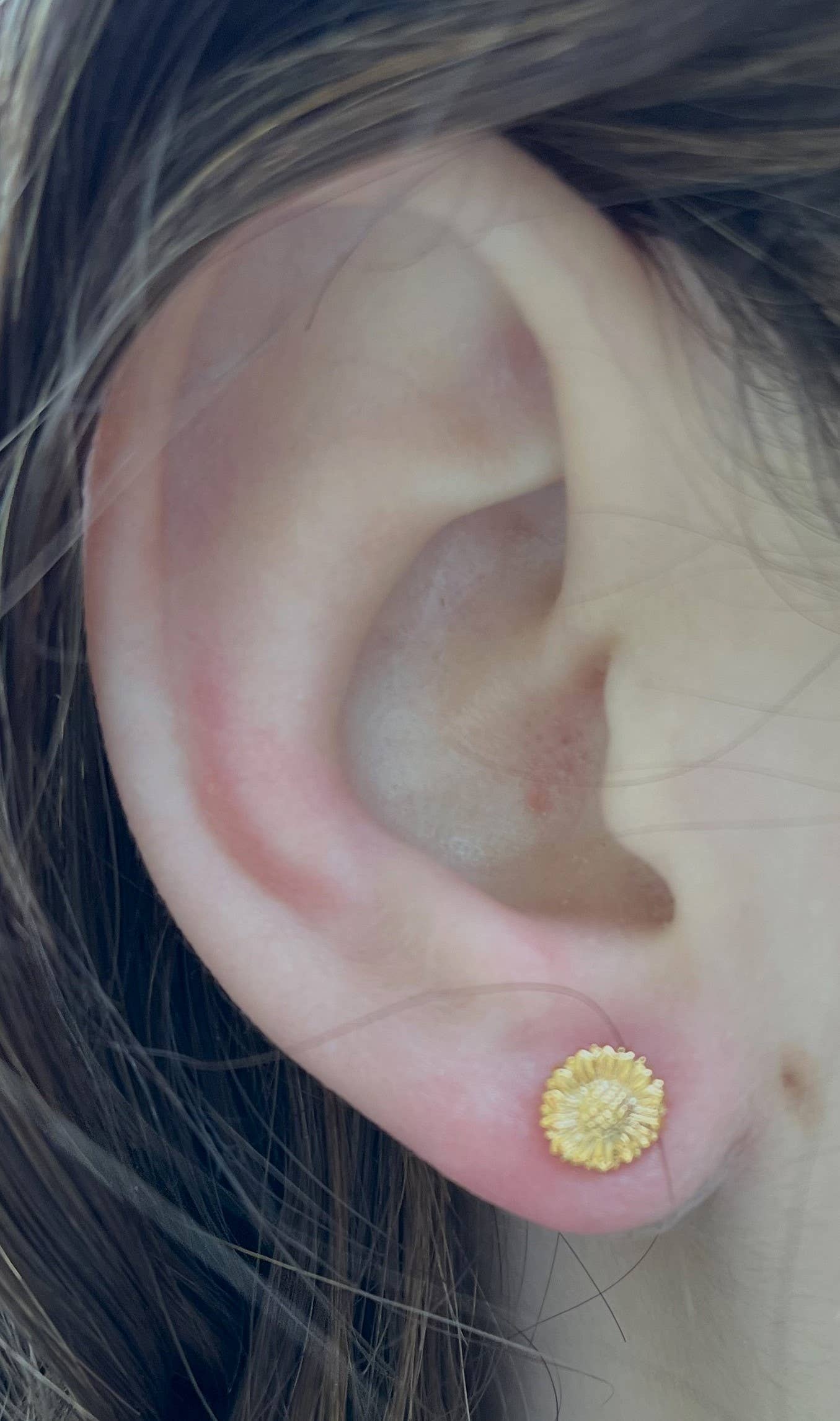 Sunflower Stud Earrings - gold Natural History