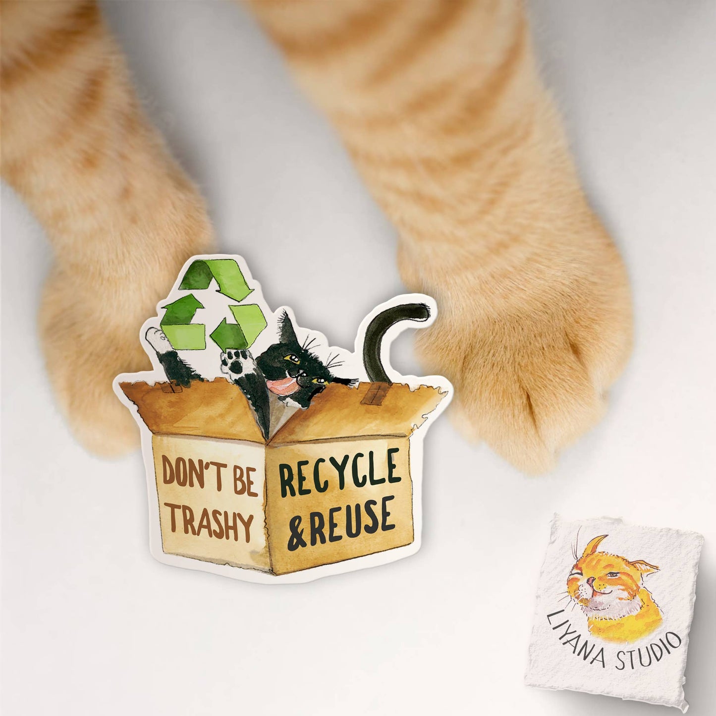 Recycle Box Cat - Funny Vinyl Sticker