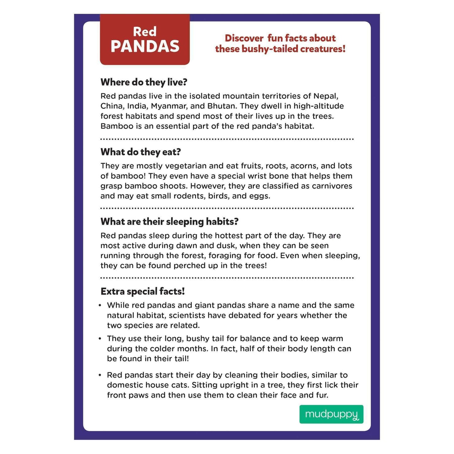 Red Panda 48 Piece Mini Puzzle