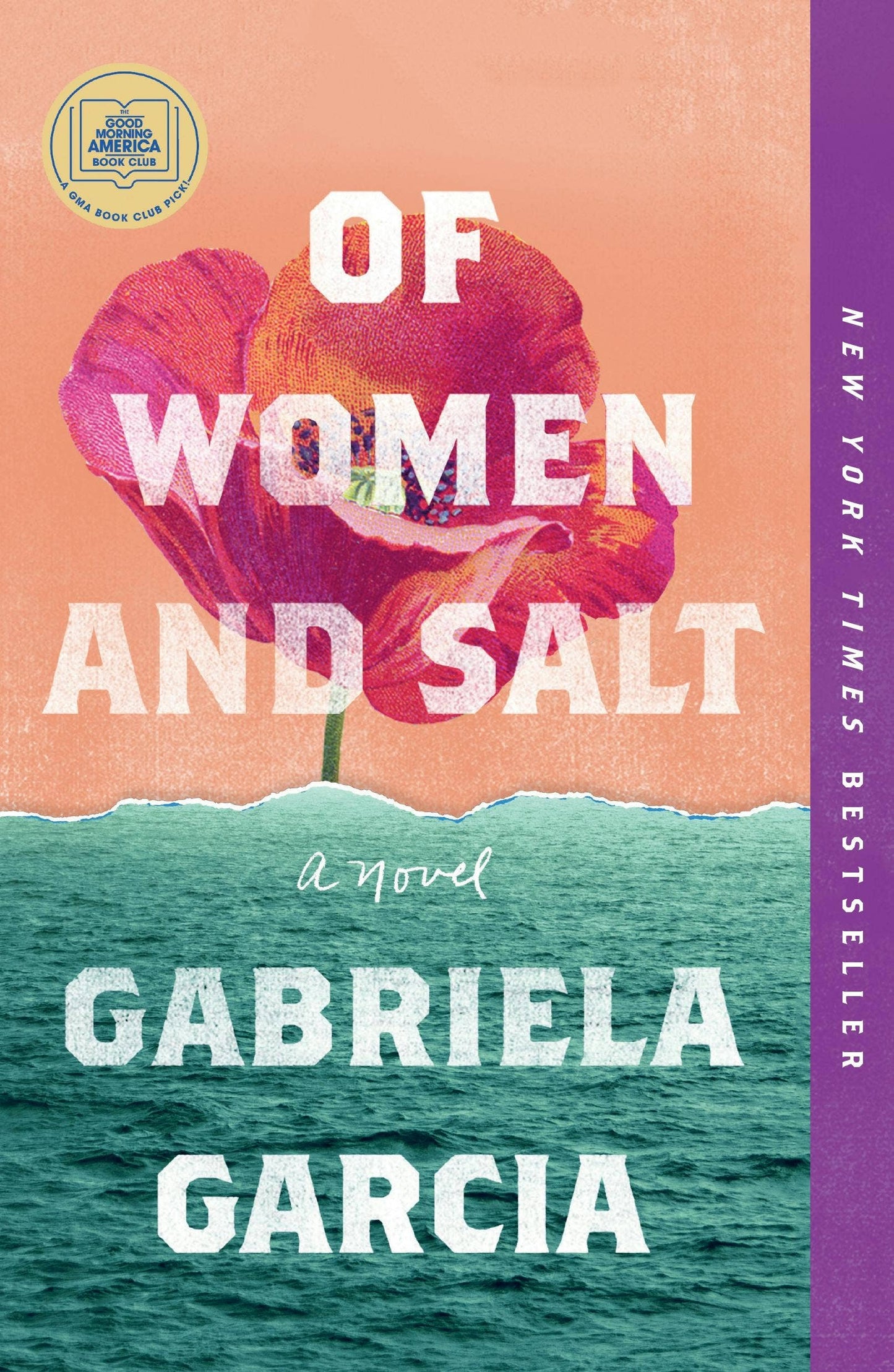 Of Women And Salt: A Novel by Gabriela Garcia