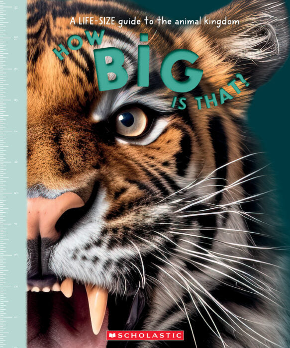How Big is That?: A Life-Size Guide to the Animal Kingdom