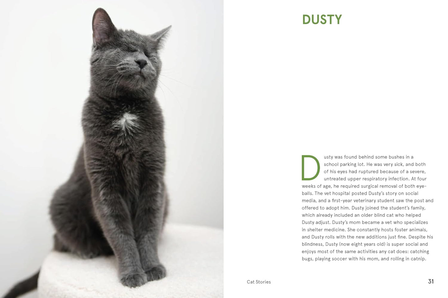 Rescue Cats: Portraits and Stories by Traer Scott (Hardcover)