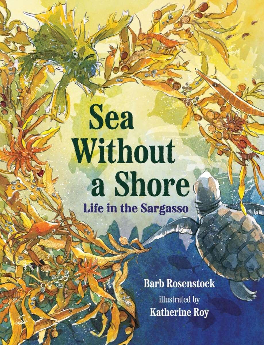 Sea Without A Shore by Barb Rosenstock; Illustrated by Katherine Roy
