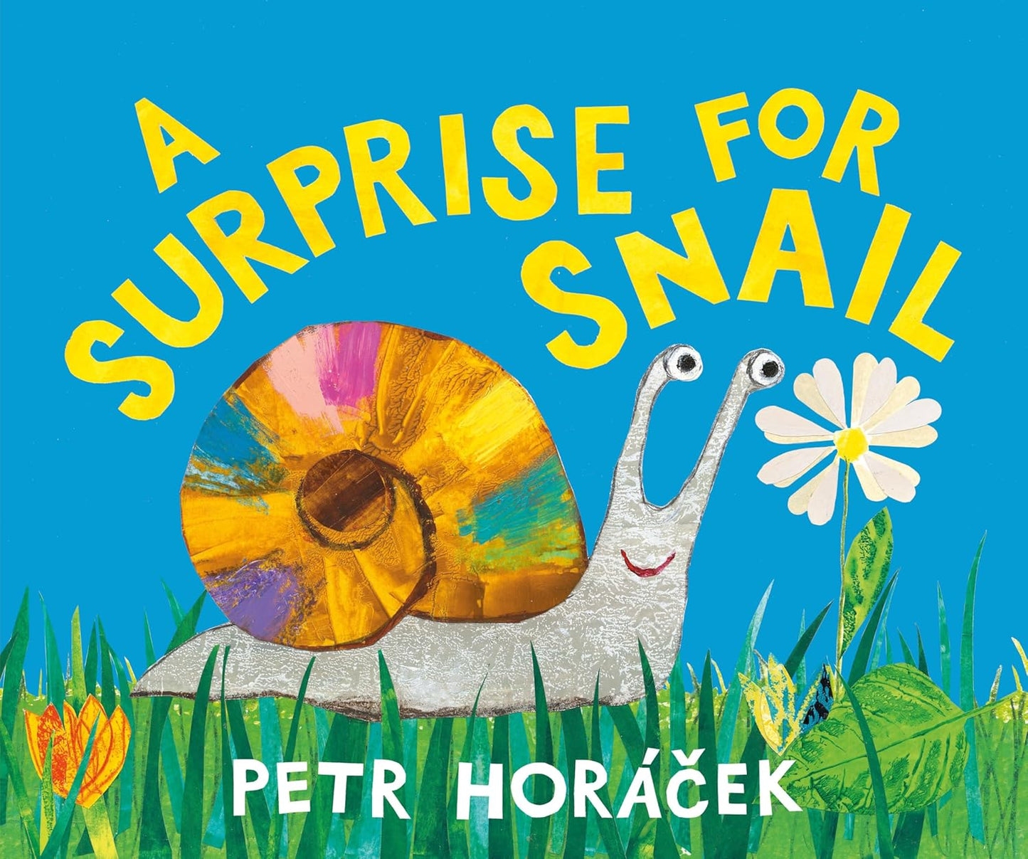 A Surprise for Snail by Peter Horacek