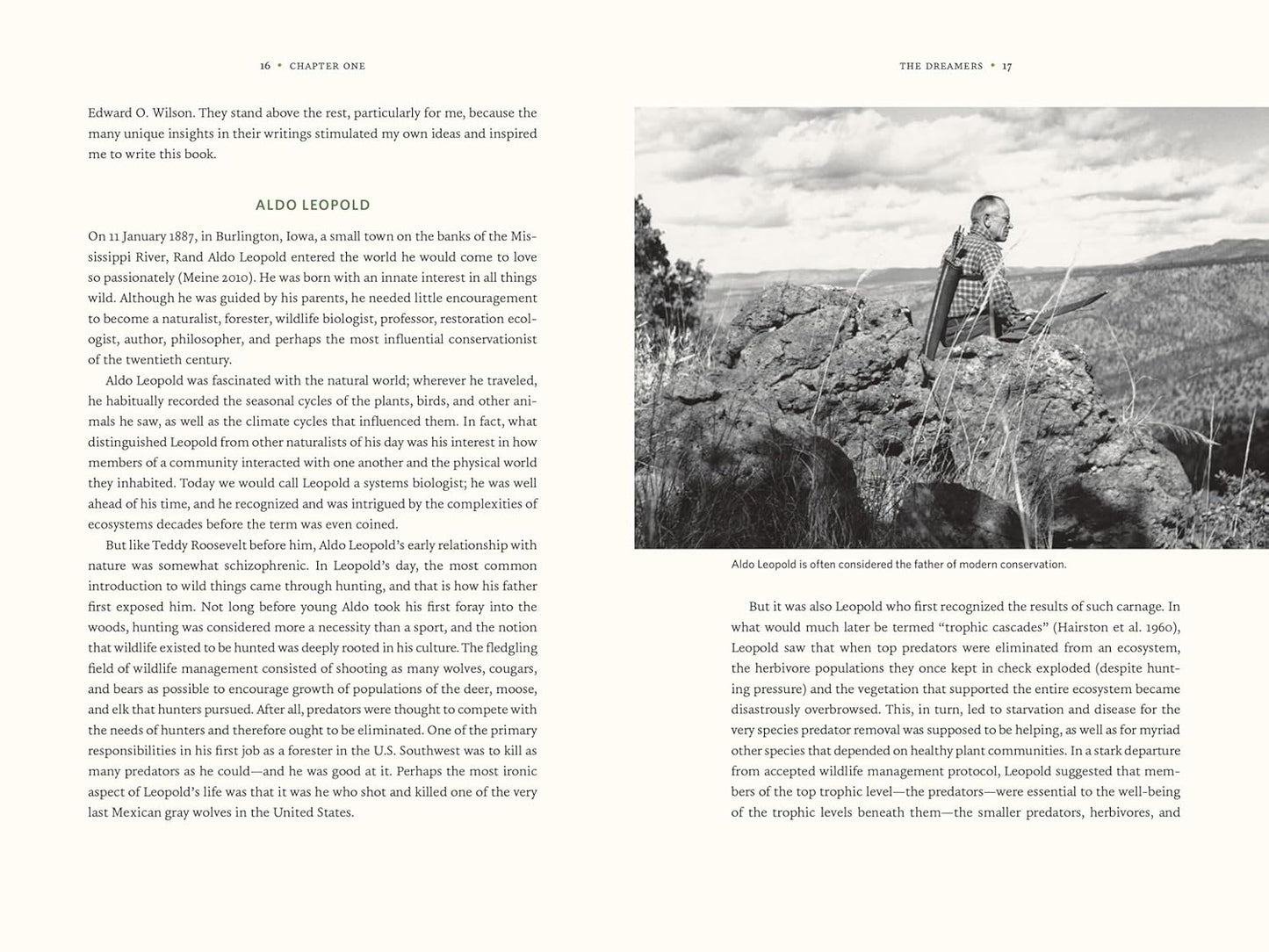 Nature's Best Hope: A New Approach to Conservation That Starts in Your Yard by Douglas W. Tallamy (Hardcover)