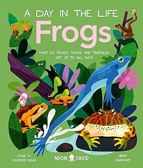 Frogs (A Day in the Life) by DrItzue W. Caviedes Solis and Neon Squid
