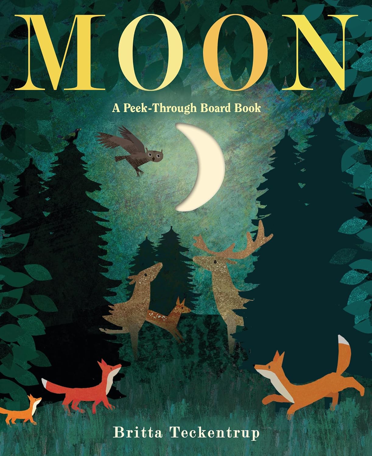 Moon: A Peek-through Board Book by Britta Teckentrup