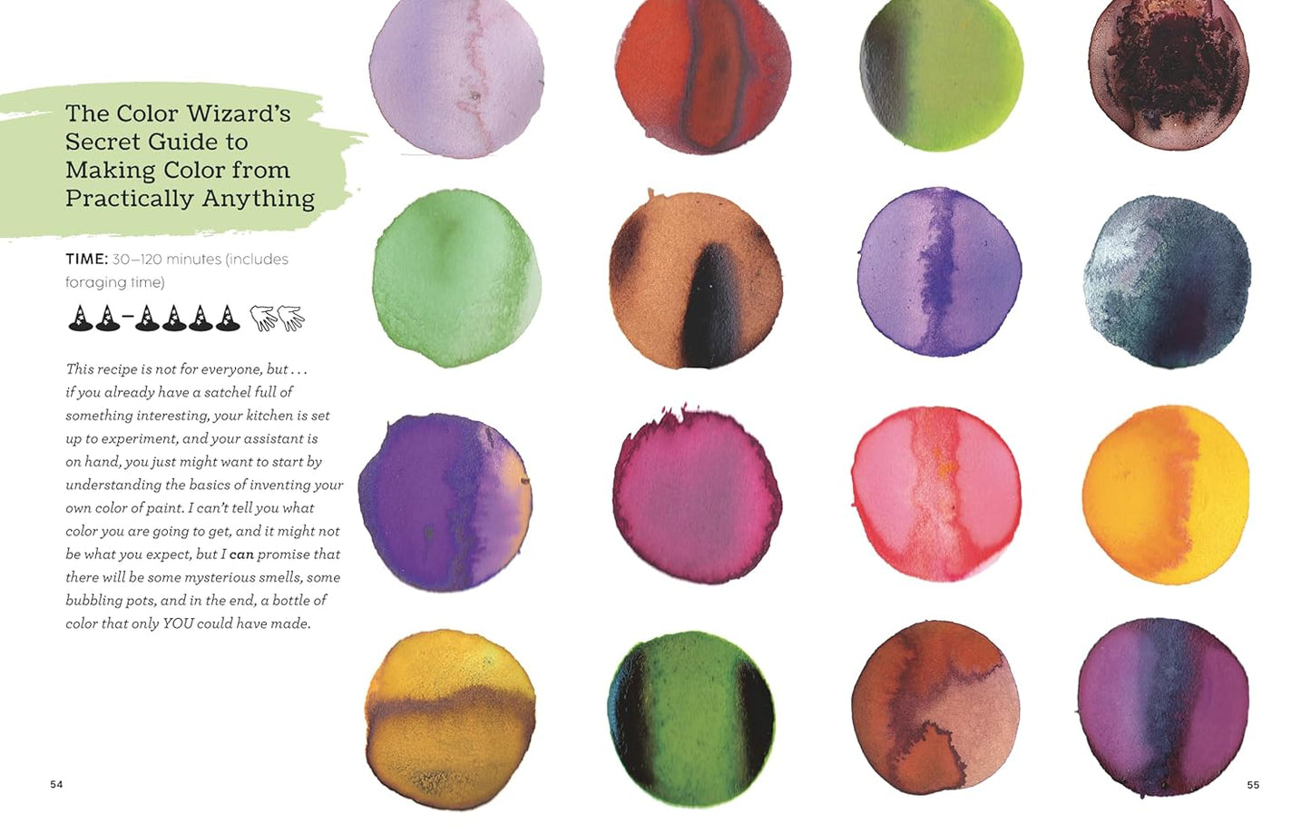 How to Be a Color Wizard: Forage and Experiment with Natural Art Making by Jason Logan (Hardcover)