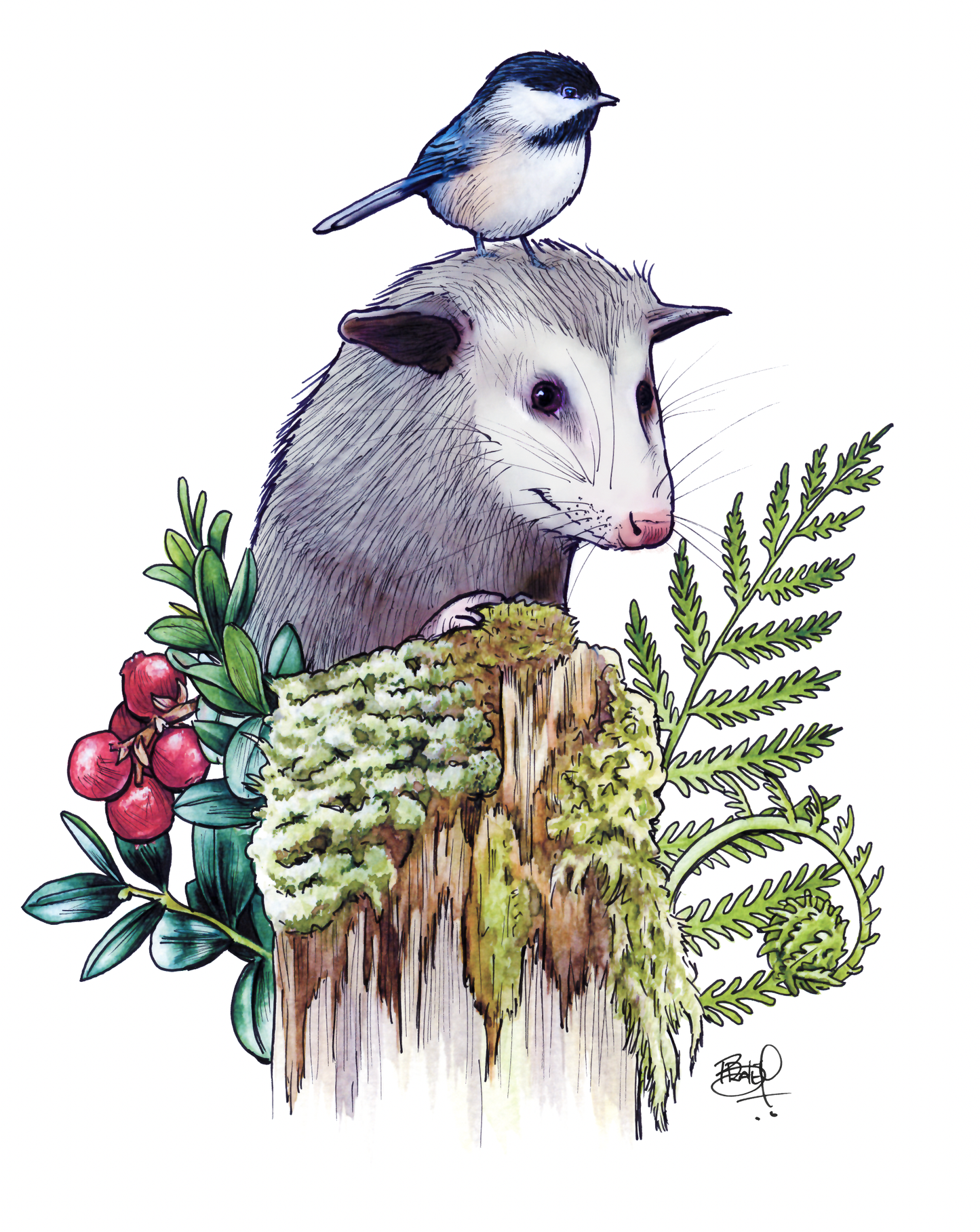 Awesome Possum #262 - vertical