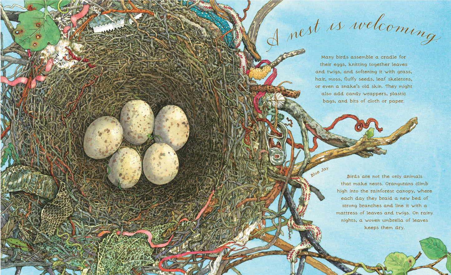 A Nest Is Noisy