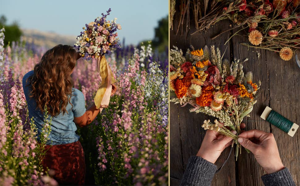 Designing with Dried Flowers by Hannah Muller (Hardcover)