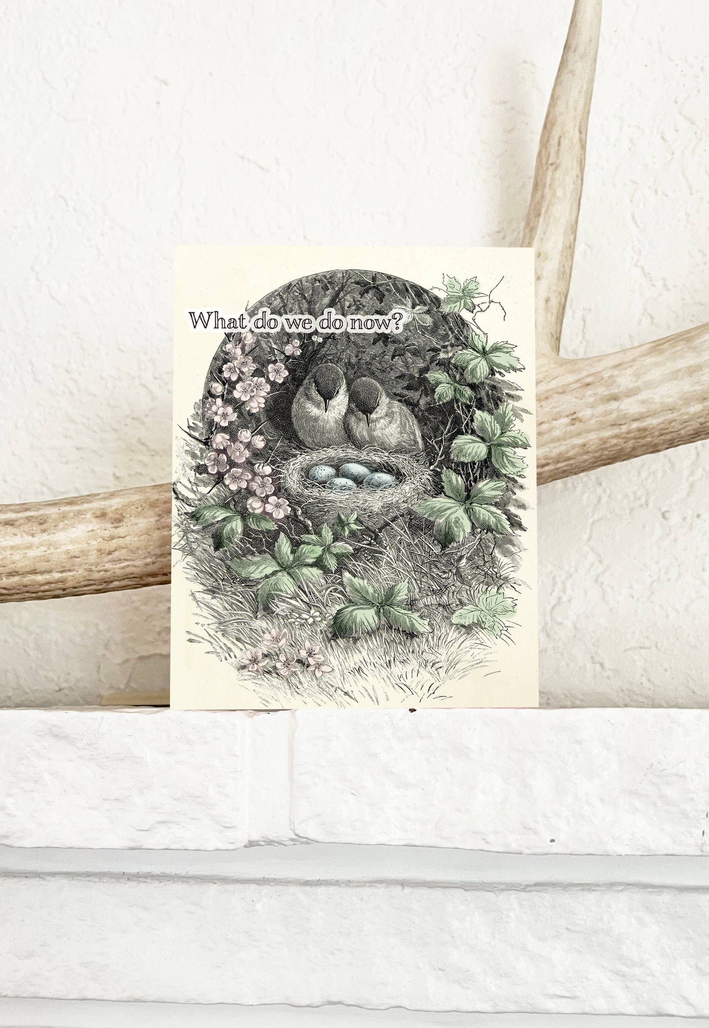 What Do We Do Now - Funny Birds with Nest New Parent Card
