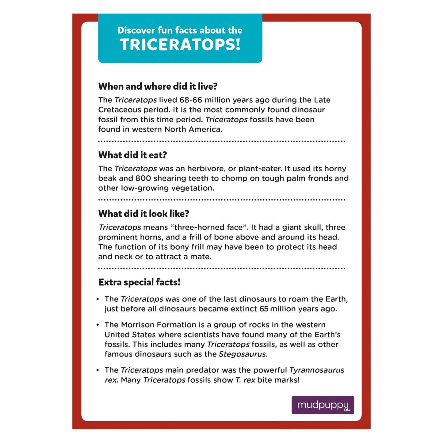 Triceratops Mini Puzzle