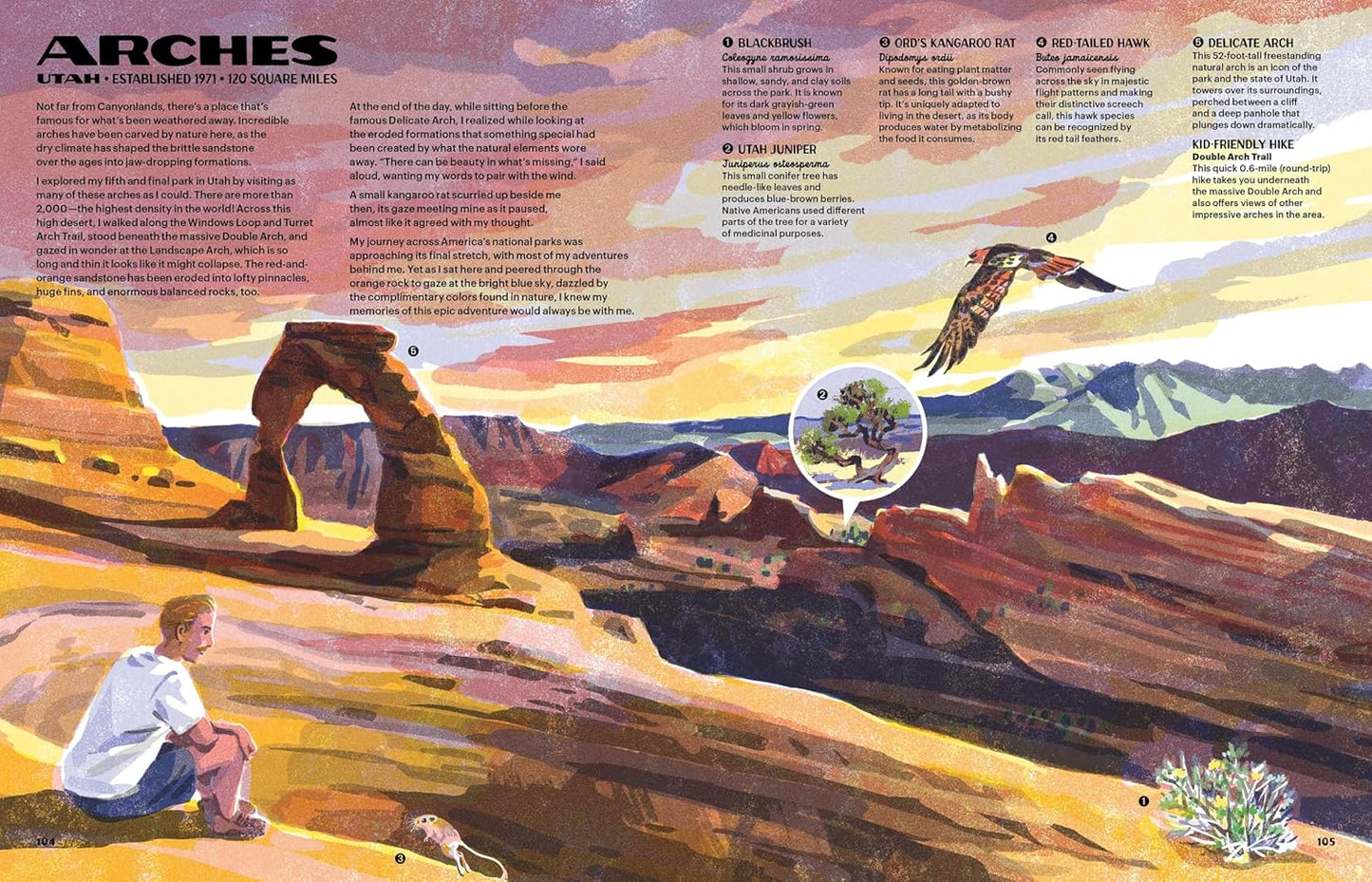 The Nature of Our National Parks by Alexander M. Rigby; Illustrated by Qu Lan