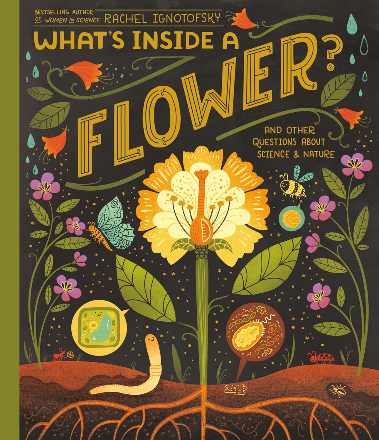 What's Inside a Flower by Rachel Ignotofsky