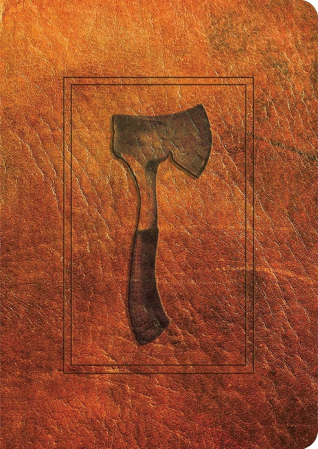 Hatchet by Gary Paulsen