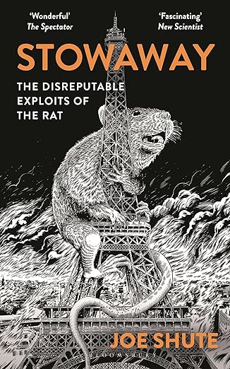 Stowaway by Joe Shute