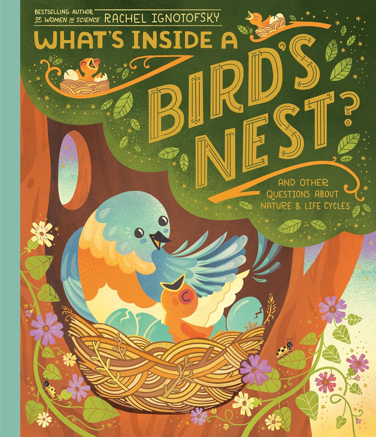 What's Inside a Bird's Nest by Rachel Ignotofsky