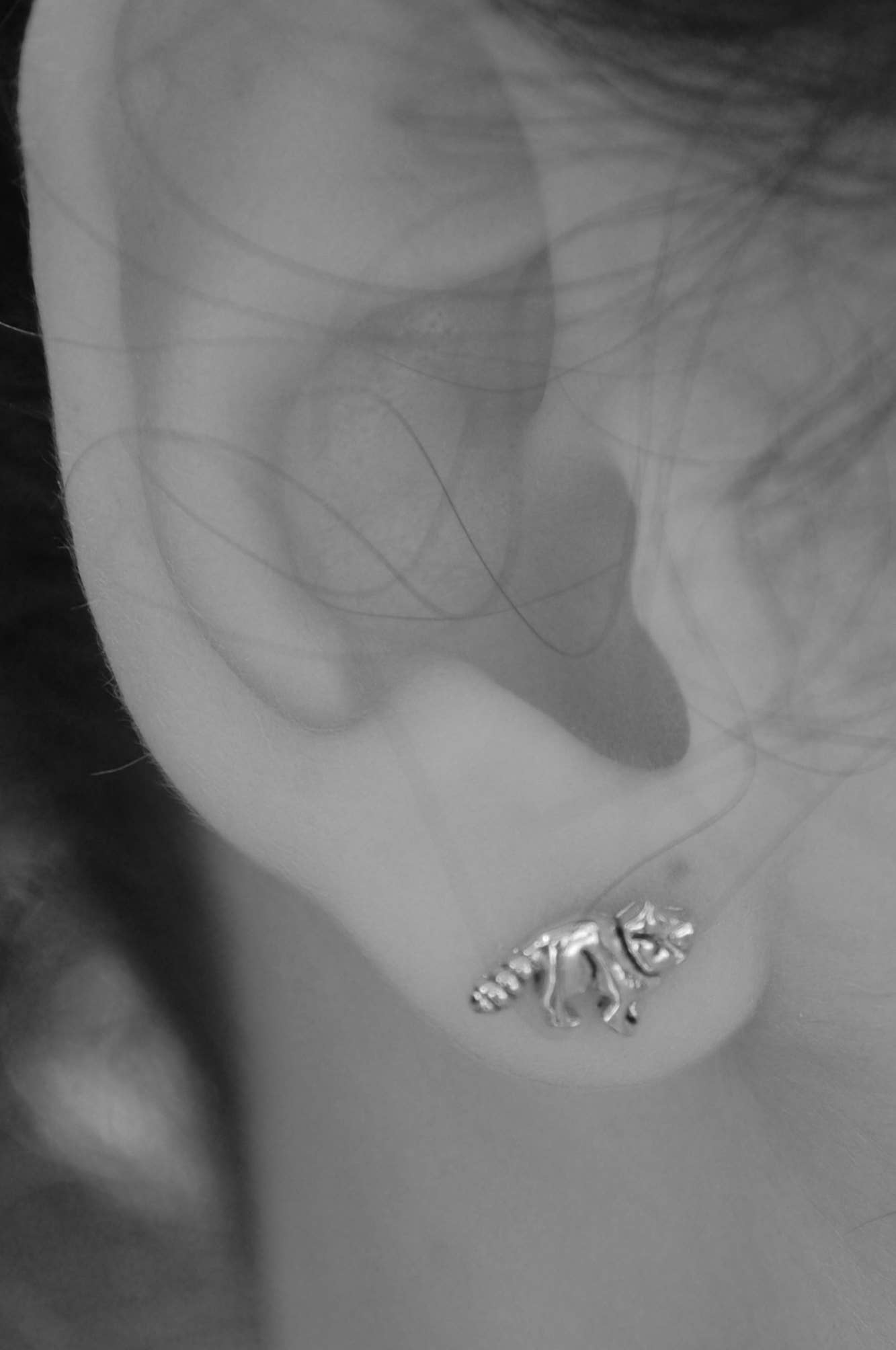 Raccoon Earrings - gold Natural History