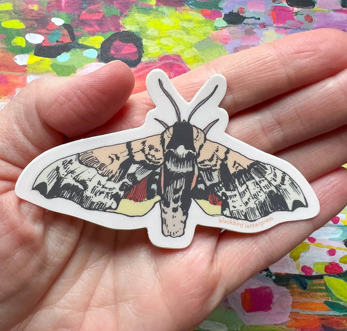 Sphinx moth sticker