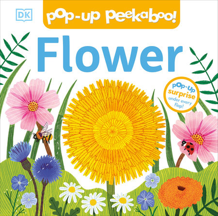 Pop-Up Peekaboo: Flower