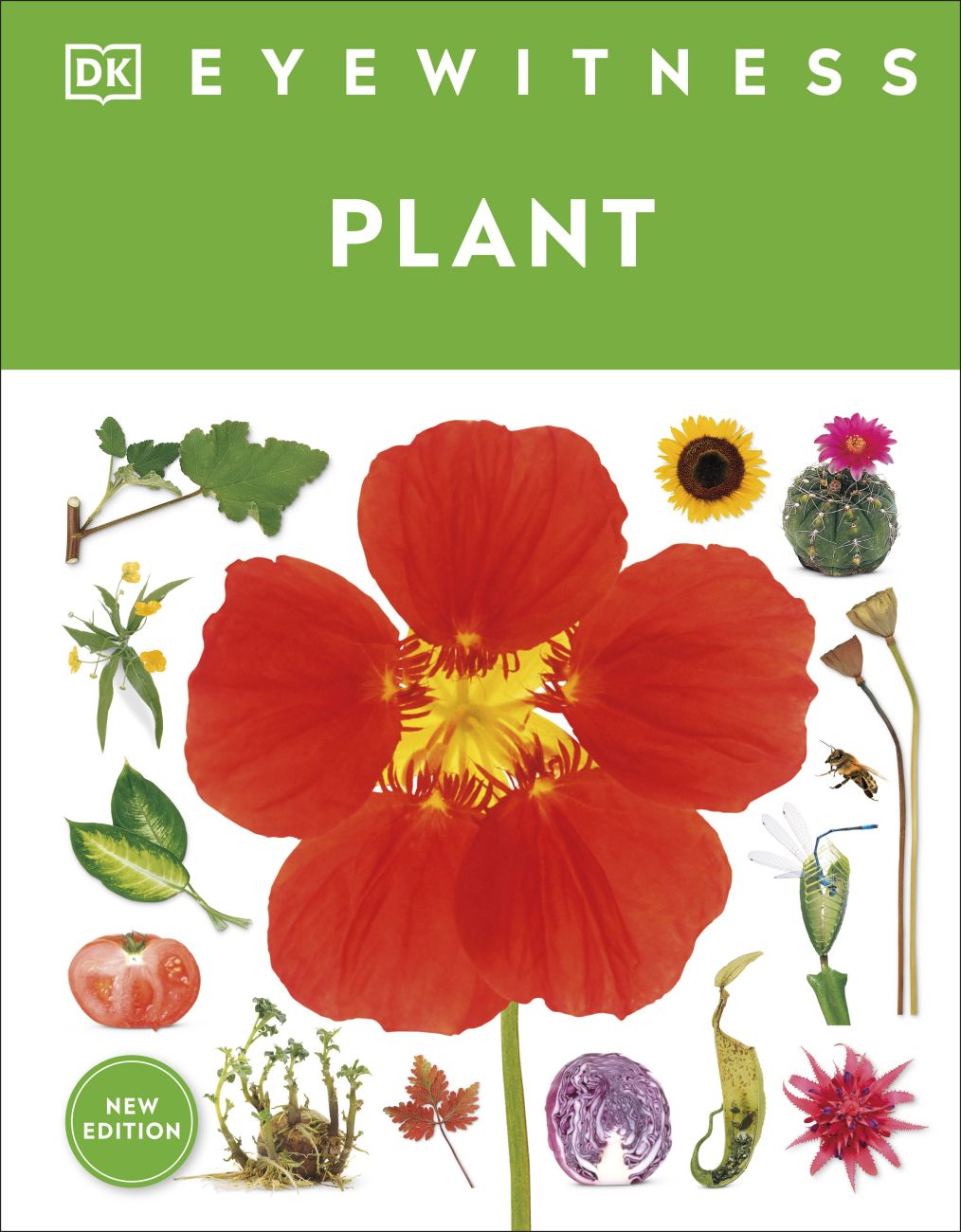 Eyewitness Plant by DK