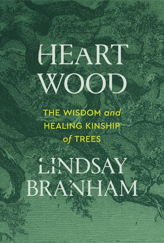 Heartwood by Lindsay Branham