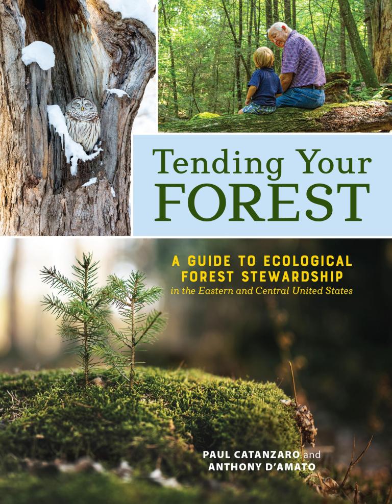 Tending Your Forest by Paul Catanzaro and Anthony D'Amato