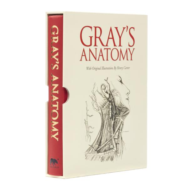 Gray's Anatomy by Henry Gray; With Original Illustrations by Henry Carter