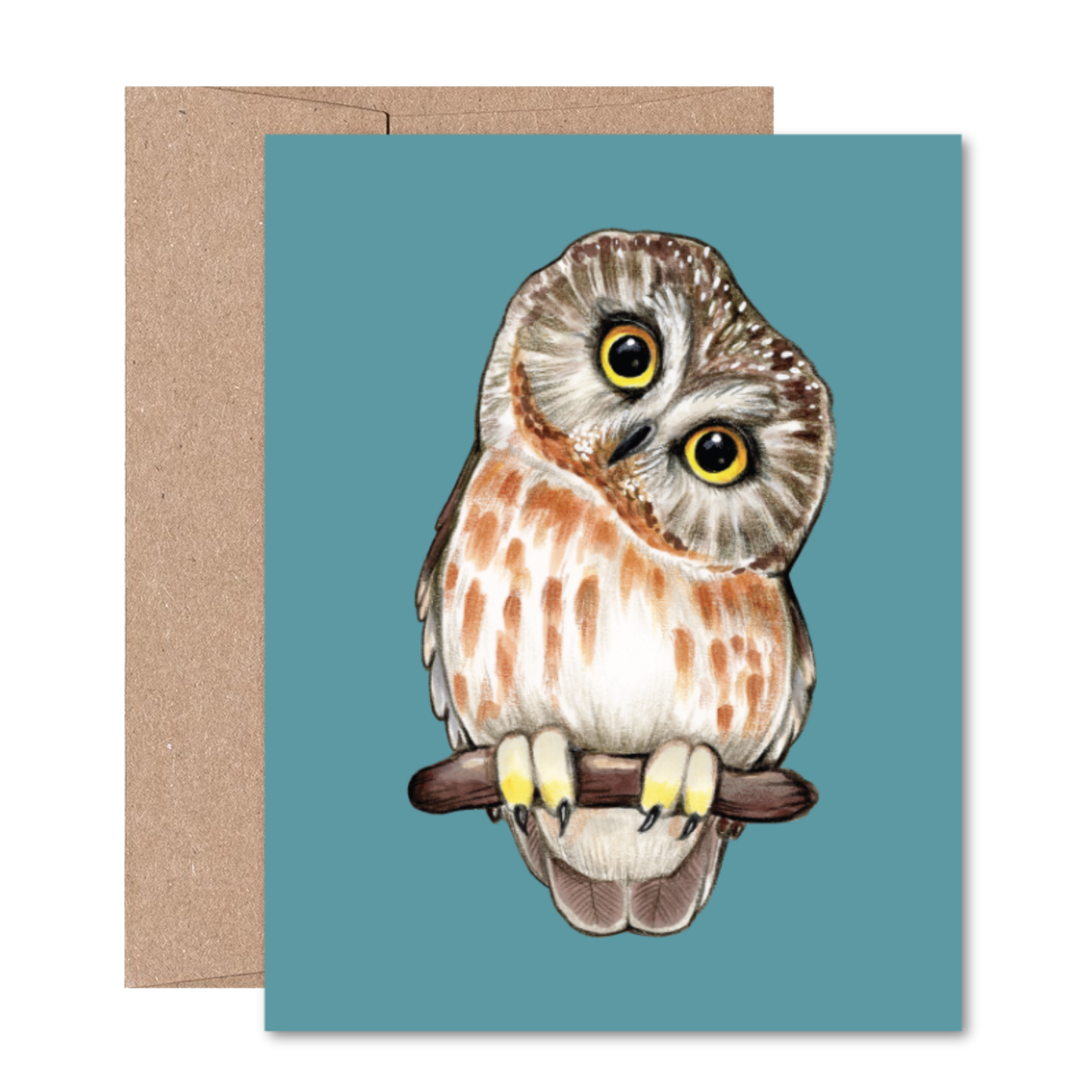 North American Owls Boxed Card Set (8 Cards)