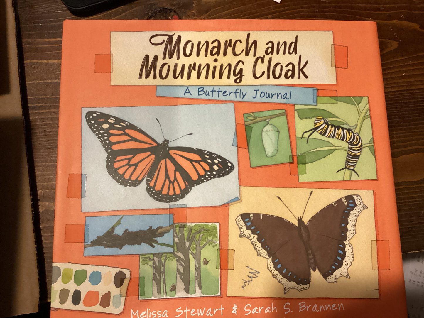 Monarch and Morning Cloak by Melissa Stewart & Sarah Brannen