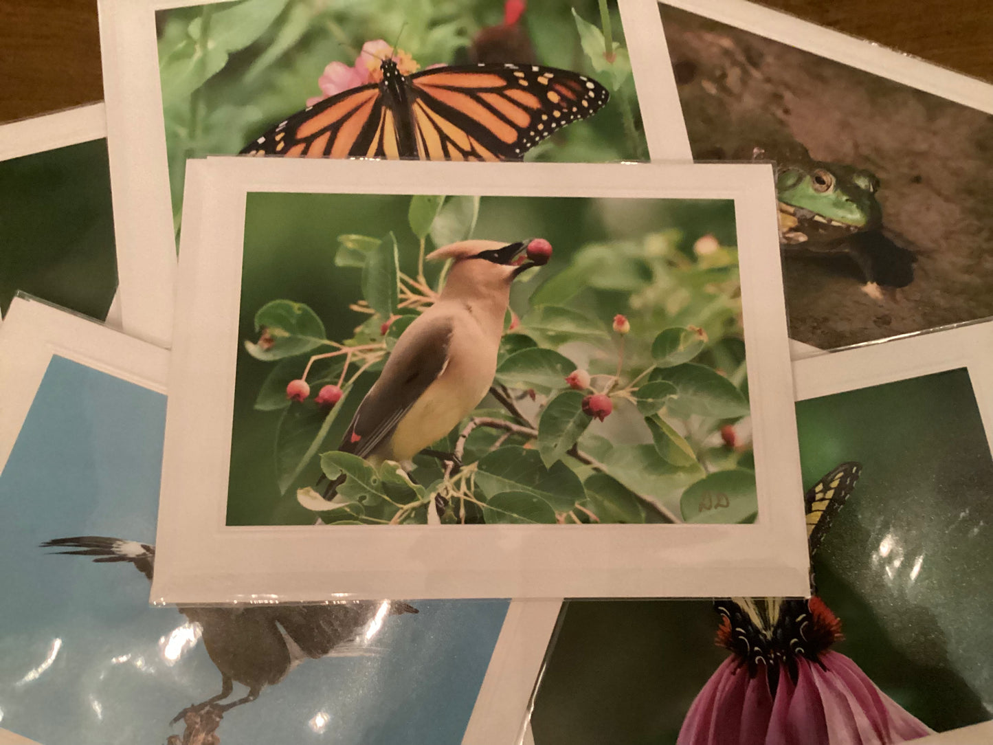 Cedar Waxwing Greeting Card